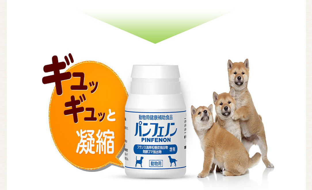 パンフェノンは体のサビを取り、血液の流れをスムーズにする成分をギュッギュッと凝縮