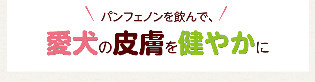 パンフェノンを飲んで、愛犬の皮膚を健やかに