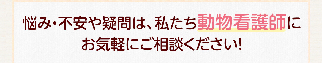 悩み・不安や疑問は、私たち動物看護師にお気軽にご相談ください!