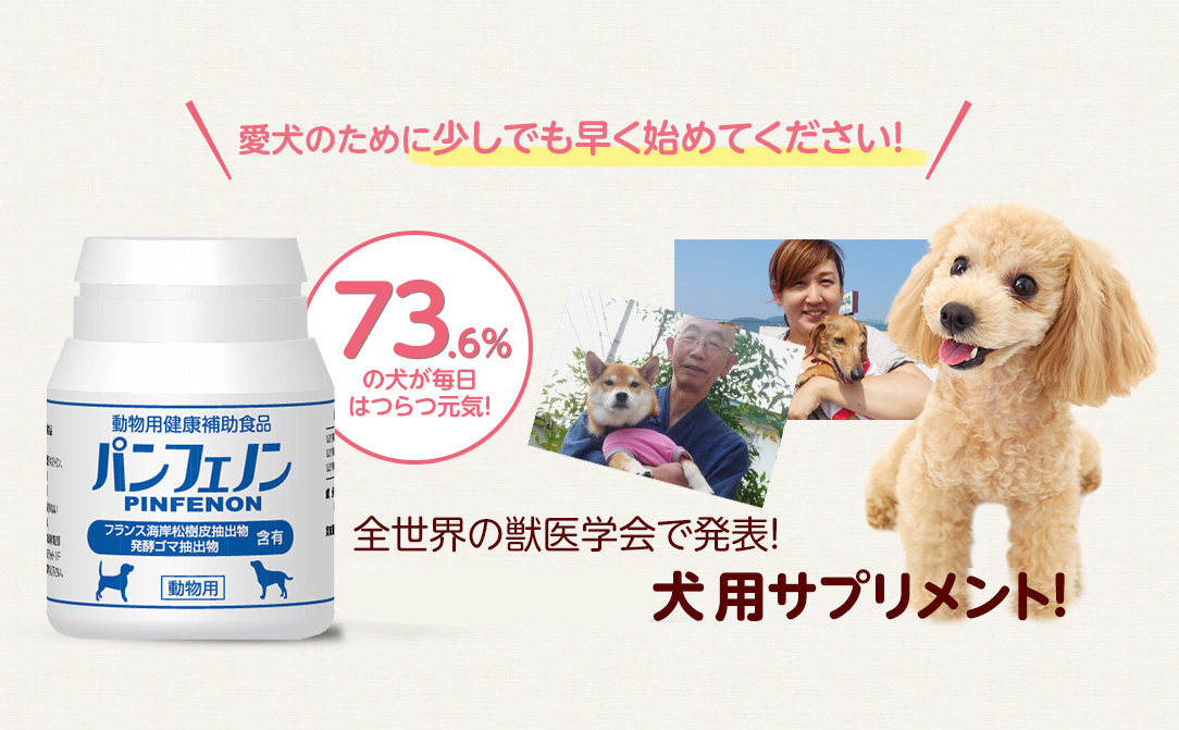愛犬のために少しでも早く始めてください!全世界の獣医学会で発表!犬のアレルギー用サプリメント!