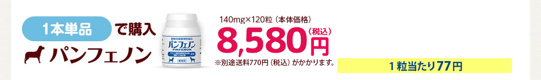 1本で購入パンフェノン140mg×120粒