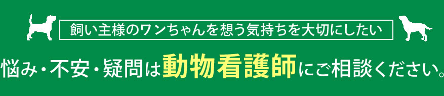 悩み・不安・疑問は動物看護師にご相談ください。