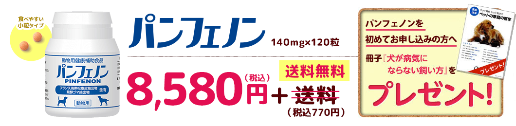「パンフェノン（140mg×120粒）」