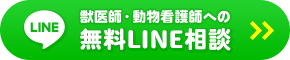 獣医師・動物看護師への無料LINE相談