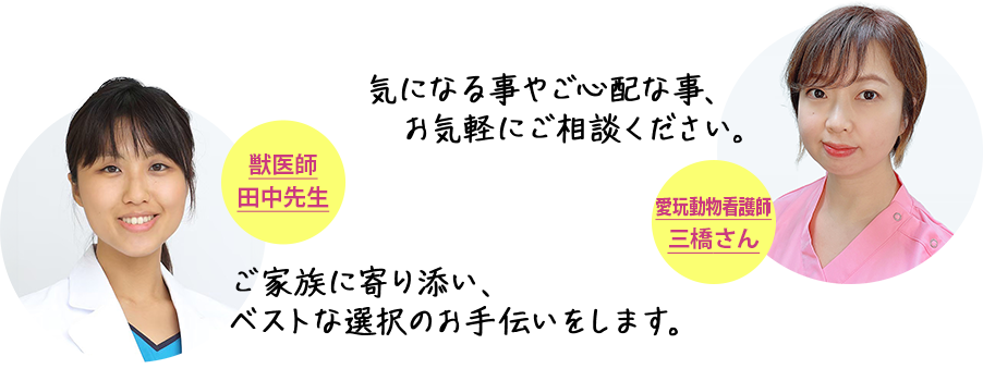 【三橋 愛玩動物看護師】気になる事やご心配な事、お気軽にご相談ください。【田中 獣医師】ご家族に寄り添い、ベストな選択のお手伝いをします。