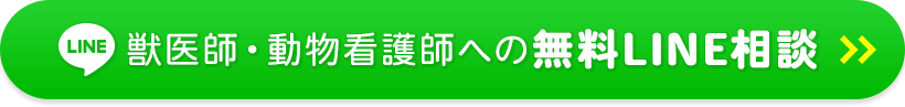 獣医師・動物看護師への無料LINE相談