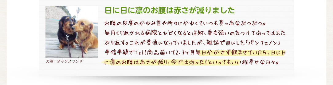 日に日に凛のお腹は赤さが減りました