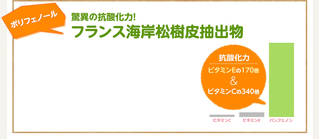ポリフェノール 驚異の抗酸化力！フランス海岸松樹皮抽出物