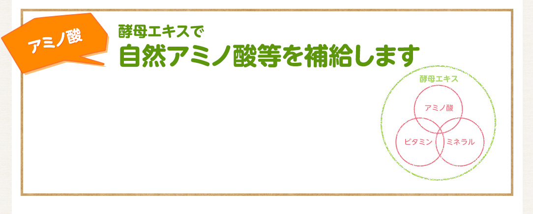 アミノ酸 酵母エキスで自然アミノ酸等を補給します