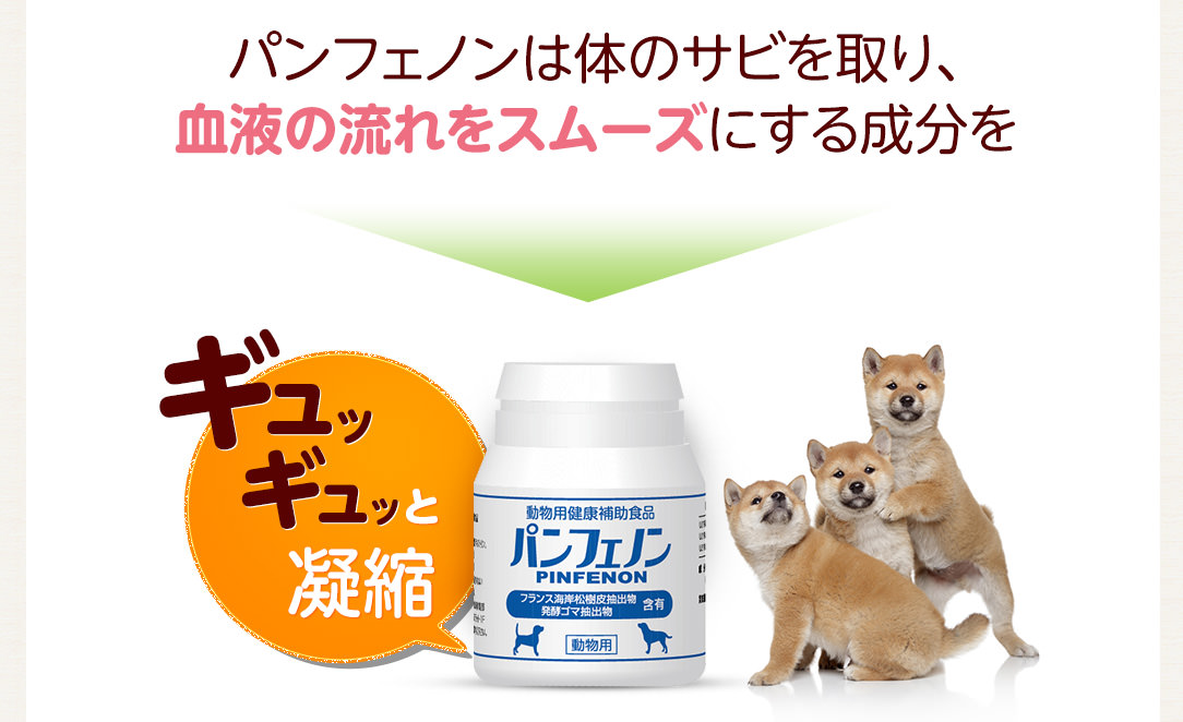 パンフェノンは体のサビを取り、血液の流れをスムーズにする成分をギュッギュッと凝縮