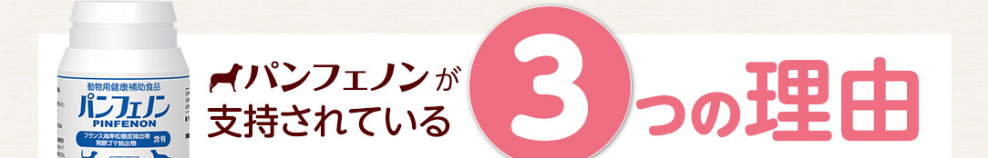 パンフェノンが支持されている3つの理由