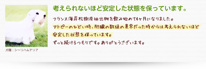 考えられないほど安定した状態を保っています。